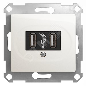 GLOSSA Розетка USB перламутр в рамку - Schneider Electric