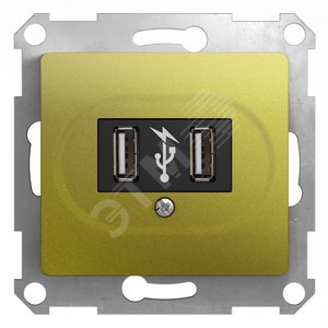 GLOSSA USB розетка фисташковый (GSL001032) - Schneider Electric