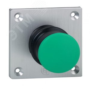 ПЫЛЬНИК ЧЕРНЫЙ ДЛЯ ГРИБКОВ | ZBZ28 | Schneider Electric 3