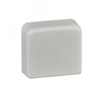 ЗАГЛУШКА ДЛЯ МИНИ-КАНАЛА 74Х21 | ETK74060 | Schneider Electric - фото 2