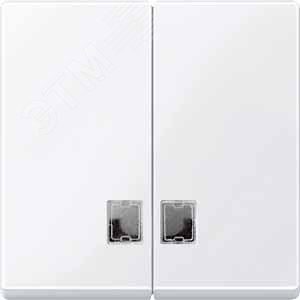 ДВОЙНАЯ КЛАВИША С ОКНАМИ ДЛЯ СИМВ. | MTN438525 | Schneider Electric - фото 6