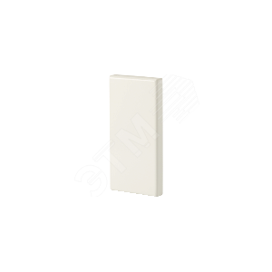 TAS+ES110x52-ЗАГЛУШКА ЦВЕТ RAL9010 | INS5550803 | Schneider Electric - Schneider Electric