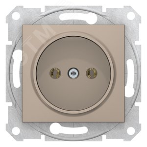 Розетка без заземления без шторок титан (SDN2900168) 2