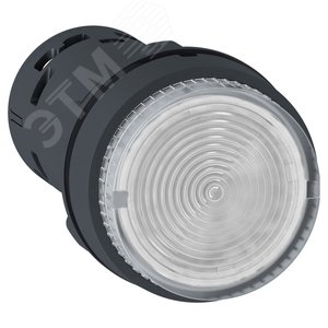 Кнопка 22мм 24В прозрачная с подсветкой (XB7NW37B1)