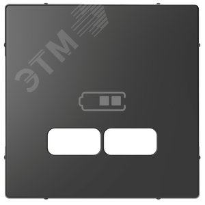 Накладка центральная MERTEN D-Life для USB механизма 2.1А антрацит (MTN4367-6034) - Schneider Electric