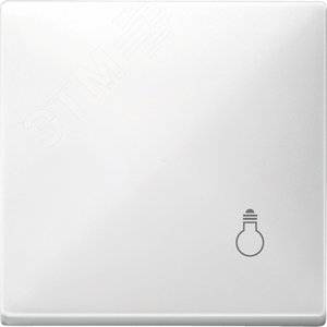 Клавиша с маркировкой СВЕТ белый 3