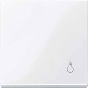 КЛАВИША С ПИКТОГР.«СВЕТ» АКТ-БЕЛ | MTN438925 | Schneider Electric - фото 6