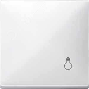 Клавиша с маркировкой СВЕТ белый 5