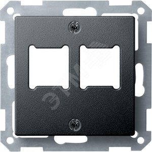 Центральная плата для розетки RJ11/RJ45 2 поста антрацит - Schneider Electric