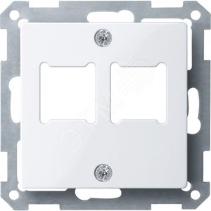 ЦЕНТР.ПЛАТА Д/РОЗ.RJ 11/RJ 45 2ПОС.А-БЕЛ | MTN291625 | Schneider Electric - Schneider Electric