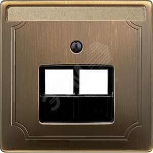 ЦЕНТР.ПЛАТА Д/МЕХ-МОВ RJ45 X2 АНТИЧ.ЛАТУНЬ | MTN292643 | Schneider Electric