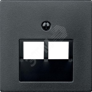 ЦЕНТР.ПЛАТА Д/МЕХ-МОВ RJ45 Х2, АНТРАЦИТ | MTN298014 | Schneider Electric