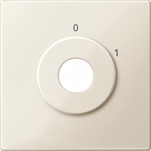 ЦЕНТР.ПЛАТА I/0 Д/МЕХ.ВЫКЛ.С УПР.КЛ.БЕЖ - Schneider Electric