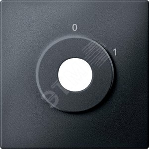 ЦЕНТР.ПЛАТА I/0 Д/МЕХ.ВЫКЛ.С УПР.КЛ.АНТР