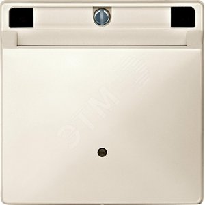 ВЫКЛЮЧАТЕЛЬ С КАРТОЧКОЙ | MTN315344 | Schneider Electric - Schneider Electric