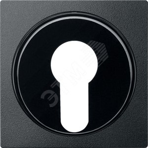 Ц. ПЛАТА ДЛЯ ПЕР-ЛЯ С ФИКСАТОРОМ | MTN318114 | Schneider Electric - Schneider Electric