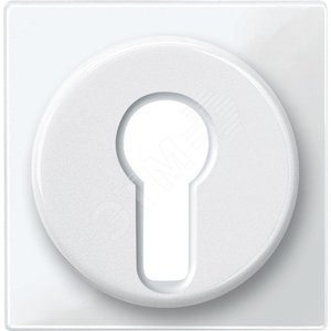 Ц. ПЛАТА ДЛЯ ПЕР-ЛЯ С ФИКСАТОРОМ | MTN319519 | Schneider Electric - Schneider Electric