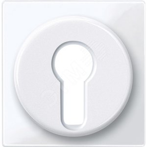 Ц. ПЛАТА ДЛЯ ПЕР-ЛЯ С ФИКСАТОРОМ | MTN319525 | Schneider Electric - Schneider Electric