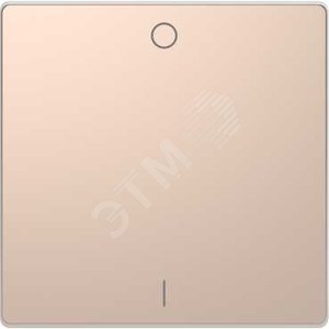D-Life КЛАВИША 1-ная с символом O/I, или вкл/выкл., ШАМПАНЬ , SD | MTN3301-6051 | Schneider Electric - Schneider Electric