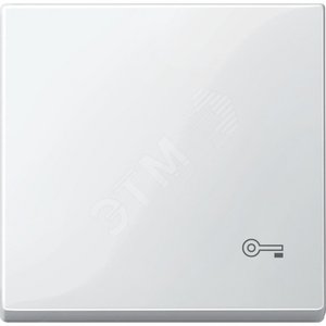 КЛАВИША С ПИКТОГРАММОЙ «КЛЮЧ» БЕЛЫЙ | MTN3303-0319 | Schneider Electric - Schneider Electric