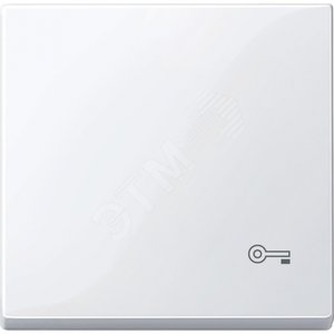 КЛАВИША С ПИКТОГРАММОЙ «КЛЮЧ» АКТ-БЕЛ - Schneider Electric