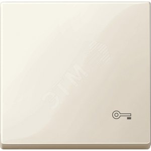 Клавиша с пиктограммой КЛЮЧ алюминий - Schneider Electric