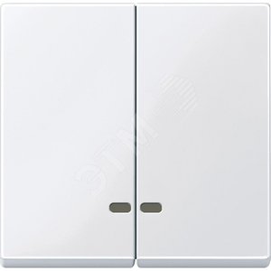 ДВЕ КЛАВИШИ С ОКОШ.Д/СВЕТ.ИНД.АКТ-БЕЛ | MTN3420-0325 | Schneider Electric - Schneider Electric