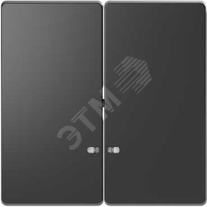 D-Life КЛАВИША 2-ная с линзой для LED модуля, АНТРАЦИТ , SD - Schneider Electric