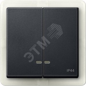 ДВЕ КЛАВИШИ С ОКОШ.Д/СВЕТ.ИНД.IP44 АНТР | MTN3424-0414 | Schneider Electric - Schneider Electric