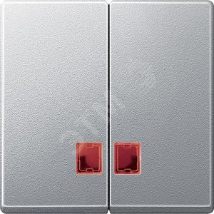 ДВЕ КЛАВ.С КР.ПРЯМОУГ.ОКОШ.Д/СВЕТ.ИНД.АЛ | MTN3456-0460 | Schneider Electric