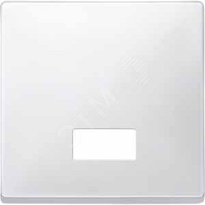 КЛАВИША Х1 С ИНДИКАЦИЕЙ, БЕЛЫЙ | MTN411819 | Schneider Electric