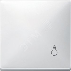 Клавиша с маркировкой СВЕТ белый