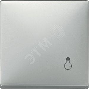 Клавиша с маркировкой СВЕТ сталь - Schneider Electric