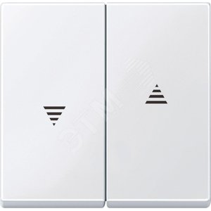 КЛАВИША X2 ДЛЯ РОЛЬСТАВНЕЙ, БЕЛЫЙ | MTN432425 | Schneider Electric