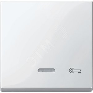 Клавиша с окошком для светоиндикатора КЛЮЧ белый (MTN435319) - Schneider Electric