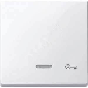 КЛАВИША С ОКОШКОМ Д/СВ.ИНД.КЛЮЧ АКТ-Б - Schneider Electric