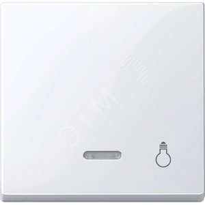 КЛАВИША С СВЕТ. ИНДИК., "СВЕТ" | MTN435925 | Schneider Electric - Schneider Electric