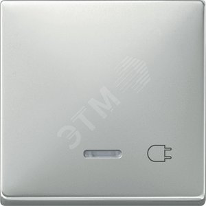 Клавиша с окошком для светоиндикатора РОЗЕТКА сталь (MTN437246) - Schneider Electric