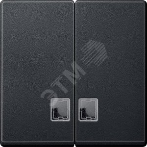 Антрацит Две клавиши с окошком.для световой индикации Merten SM | MTN437514 | Schneider Electric - Schneider Electric