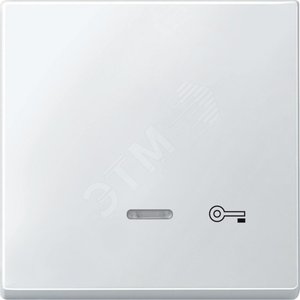 КЛАВИША С СВЕТ. ИНДИК., "ДВЕРЬ" | MTN437619 | Schneider Electric - Schneider Electric