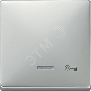 Клавиша с окошком для светоиндикатора КЛЮЧ сталь (MTN437646) - Schneider Electric