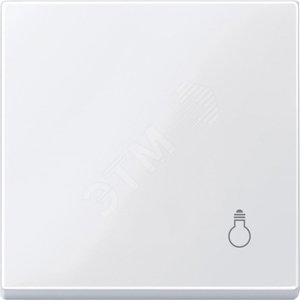 КЛАВИША С ПИКТОГР.«СВЕТ» АКТ-БЕЛ | MTN438925 | Schneider Electric - Schneider Electric
