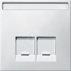 ЦЕНТР.ПЛ.Д/РОЗ.SCHNEIDER ELECTRIC,2П БЕЛ - Schneider Electric