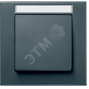РАМКА С ПОЛЕМ Д. НАДПИСИ 1 ПОСТ | MTN476114 | Schneider Electric - Schneider Electric