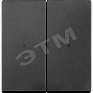 РАДИОВЫКЛ.CONNECT ДВУХКЛАВИШНЫЙ АНТР - Schneider Electric