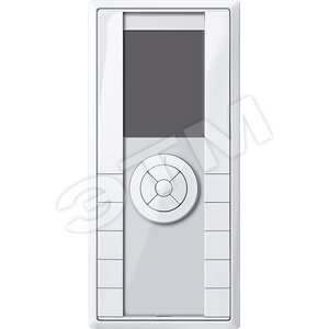 ЦЕНТРАЛЬНЫЙ РАДИОКОНТР. CONNECT БЕЖ. (MTN505919) - Schneider Electric