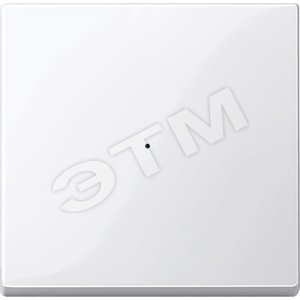 РАДИОВЫКЛ.CONNECT ОДНОКЛАВИШ. ПОЛ-БЕЛ. - Schneider Electric
