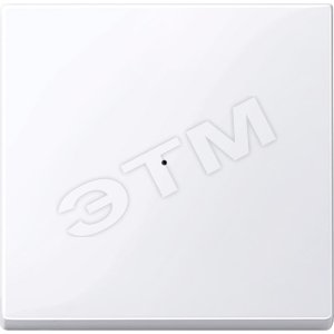 РАДИОВЫКЛ.CONNECT ОДНОКЛАВИШ.АКТ.БЕЛ. (MTN506125) - Schneider Electric