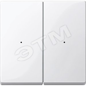 РАДИОВЫКЛ.CONNECT ДВУХКЛАВИШ.ПОЛ-БЕЛ. - Schneider Electric