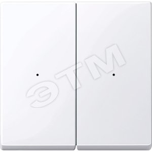 РАДИОВЫКЛ.CONNECT ДВУХКЛАВИШНЫЙ АКТ-БЕЛ - Schneider Electric